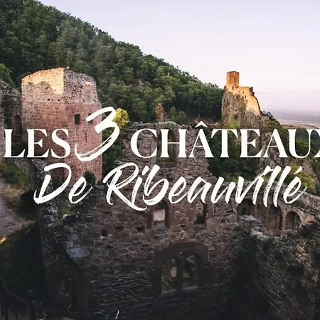 Lägenhet Au Coeur Du Vignoble Alsacien