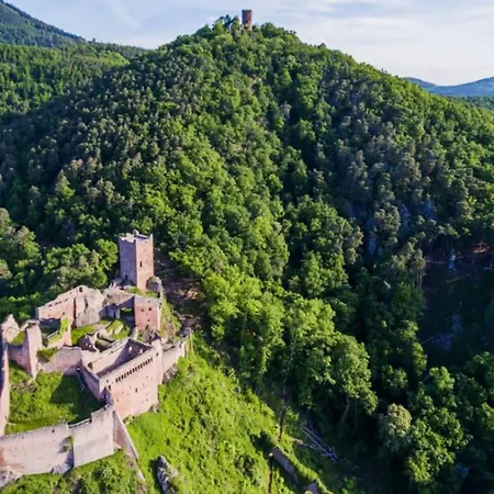 Lägenhet Au Coeur Du Vignoble Alsacien *