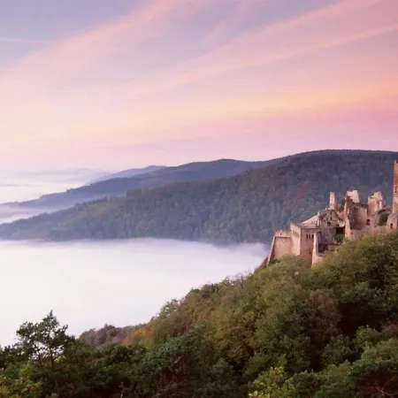 Au Coeur Du Vignoble Alsacien