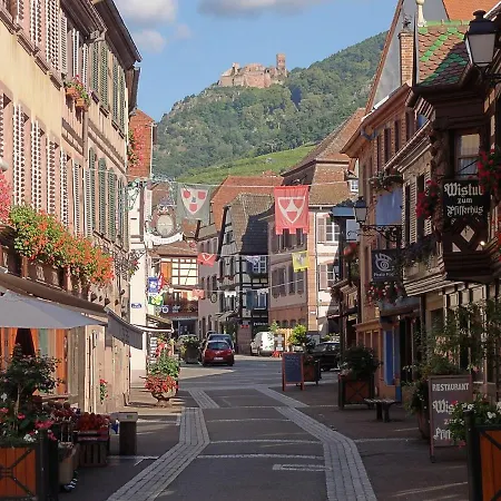 Au Coeur Du Vignoble Alsacien