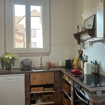 Au Coeur Du Vignoble Alsacien Lägenhet *