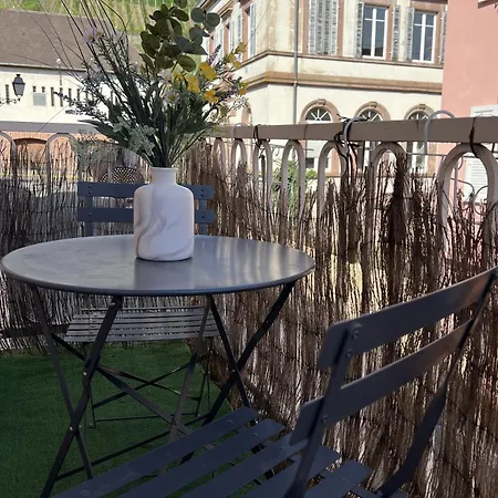 Au Coeur Du Vignoble Alsacien *